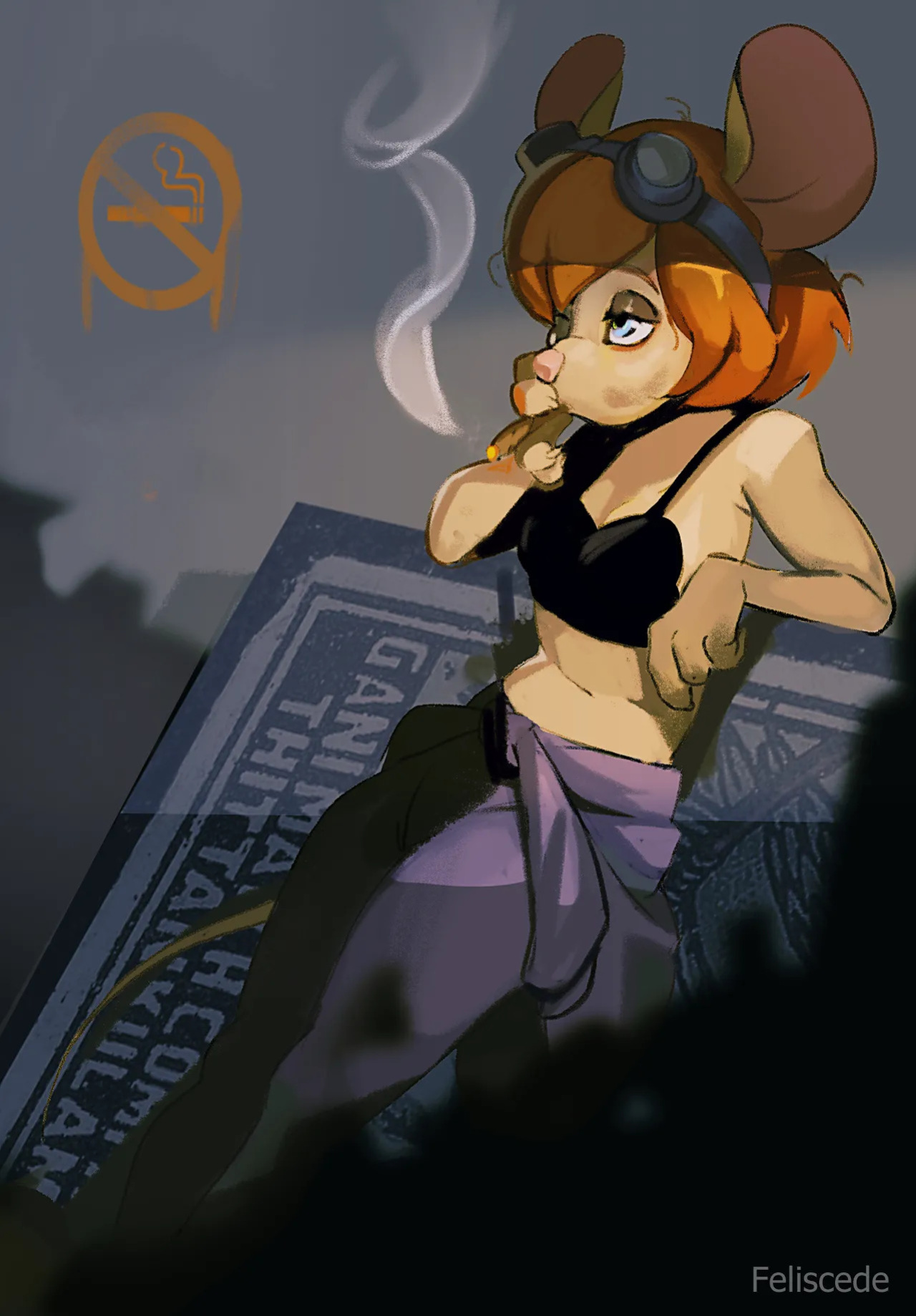 feliscede's FA Gallery