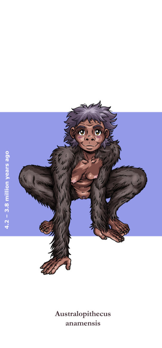 [Madoc] Indecent Descent - Viva La Evolucion! (Updated 14/04/2026)