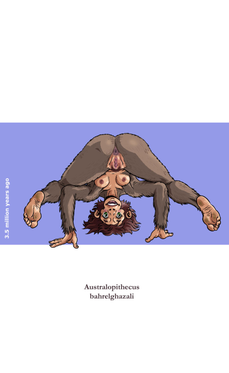 [Madoc] Indecent Descent - Viva La Evolucion! (Updated 14/04/2026)