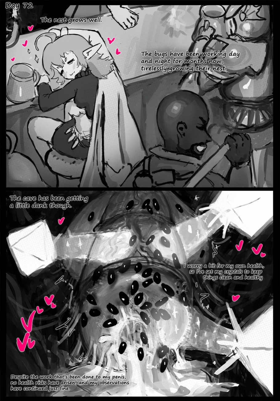 [Qusia] Observation Continues... (in progress)