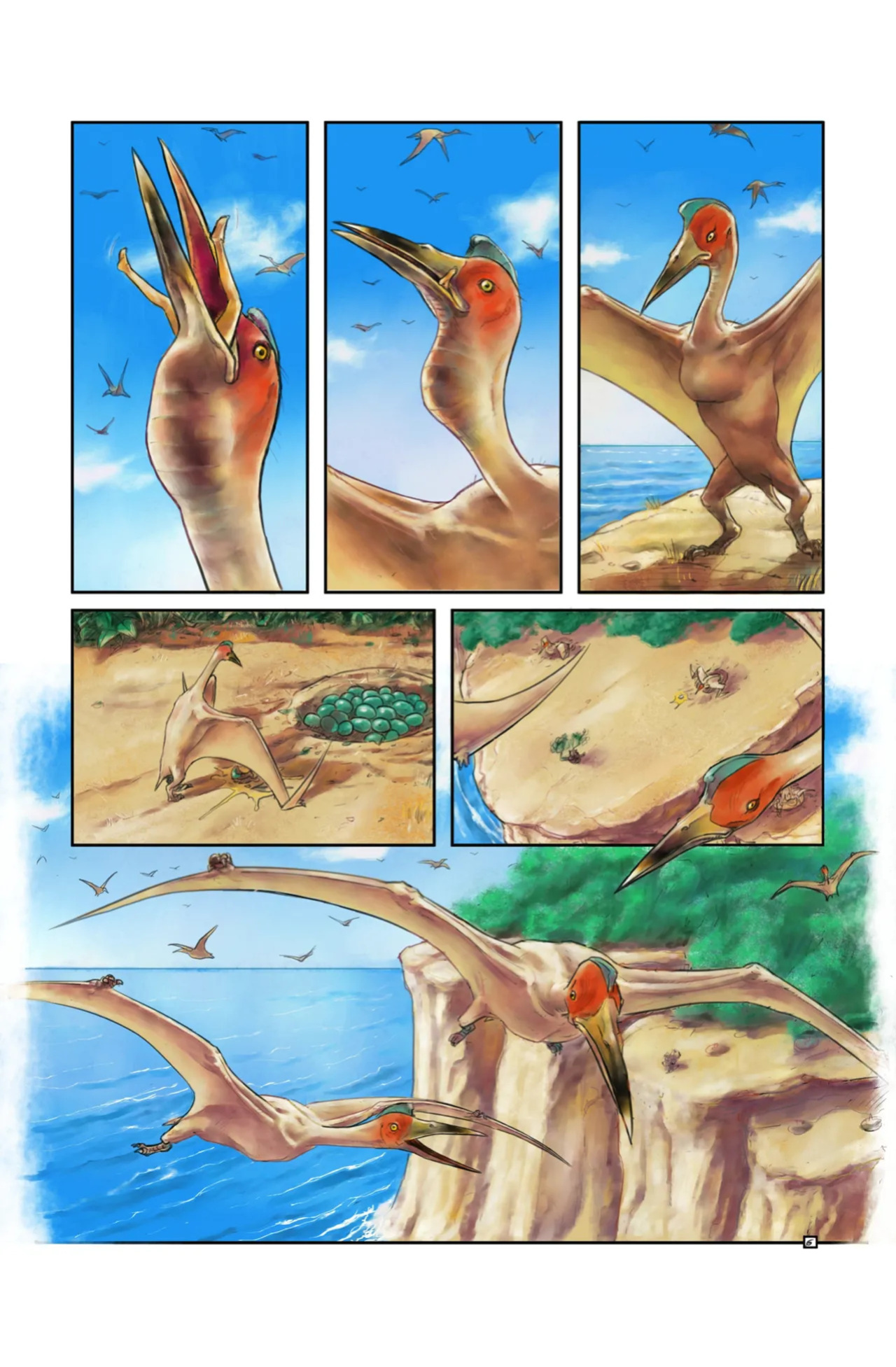 Jungle Dangers Books 1-5