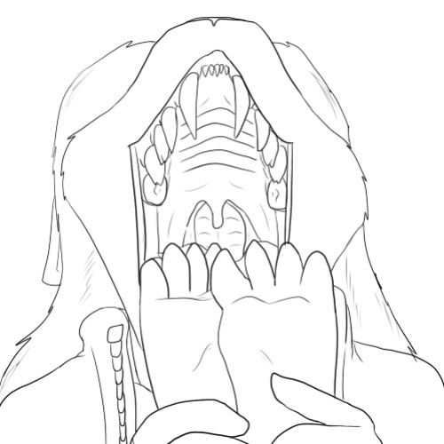 Pred Quest