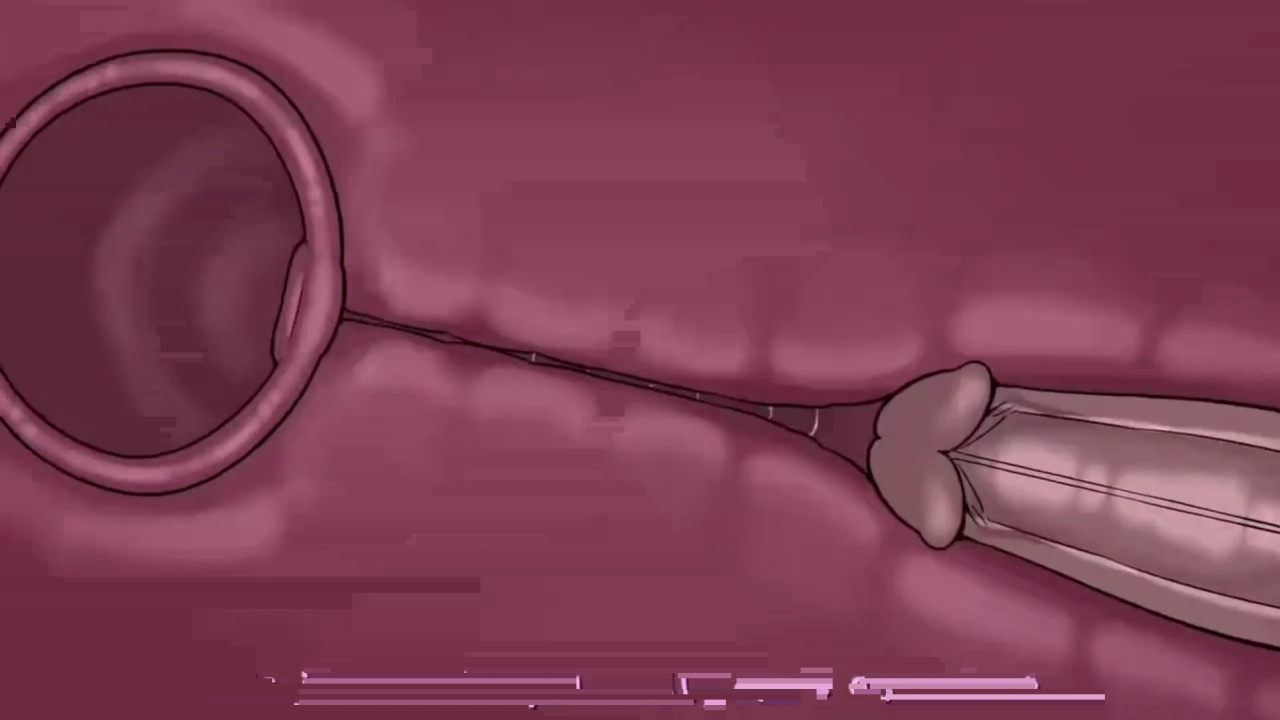[TheNewPassion] A Night Alone (Deltarune) (Animated - WIPS) (Ongoing)
