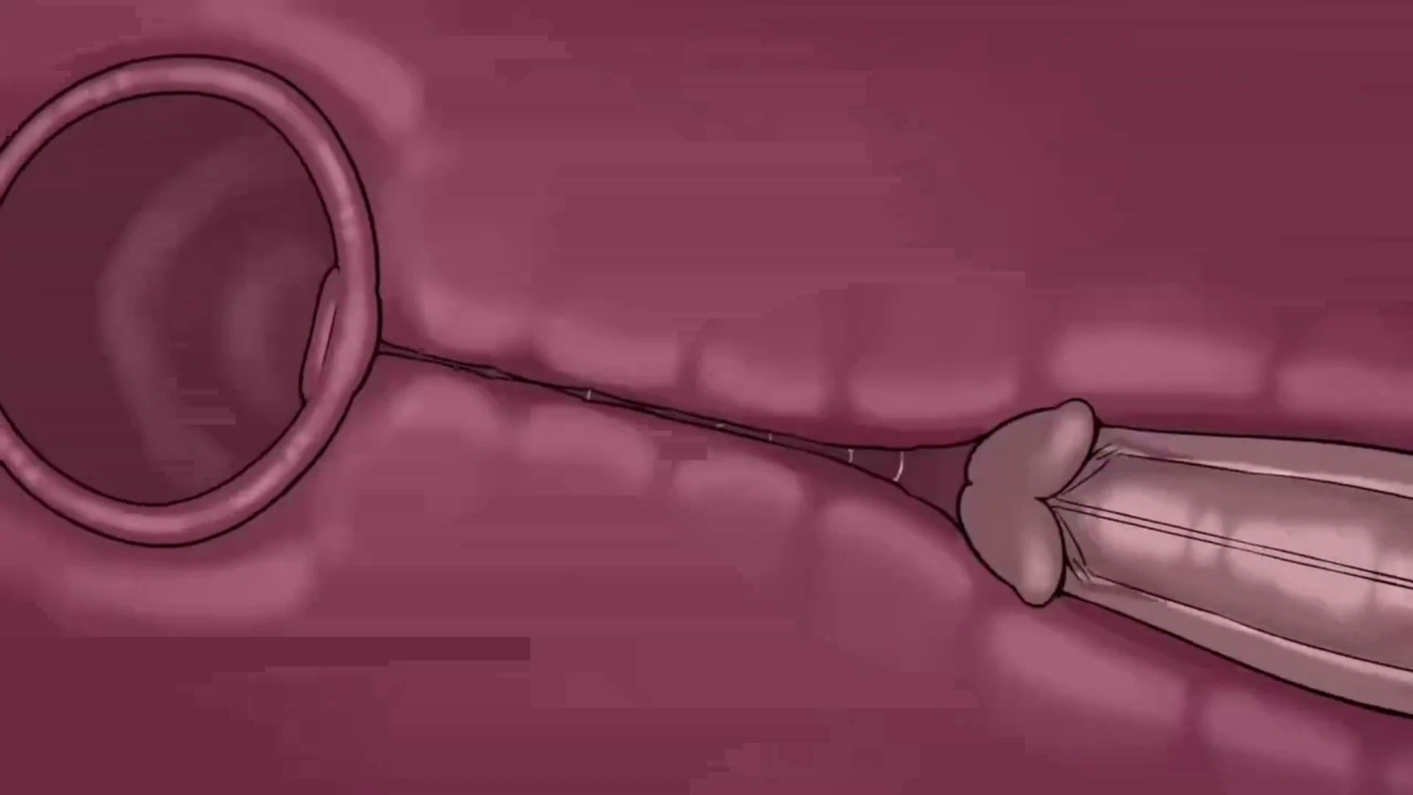 [TheNewPassion] A Night Alone (Deltarune) (Animated - WIPS) (Ongoing)