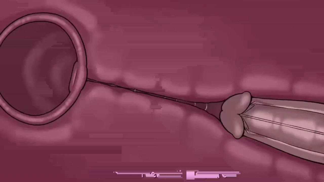 [TheNewPassion] A Night Alone (Deltarune) (Animated - WIPS) (Ongoing)