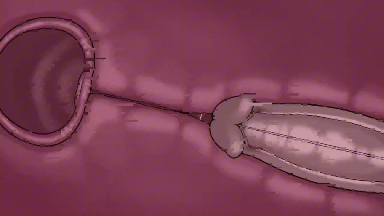 [TheNewPassion] A Night Alone (Deltarune) (Animated - WIPS) (Ongoing)