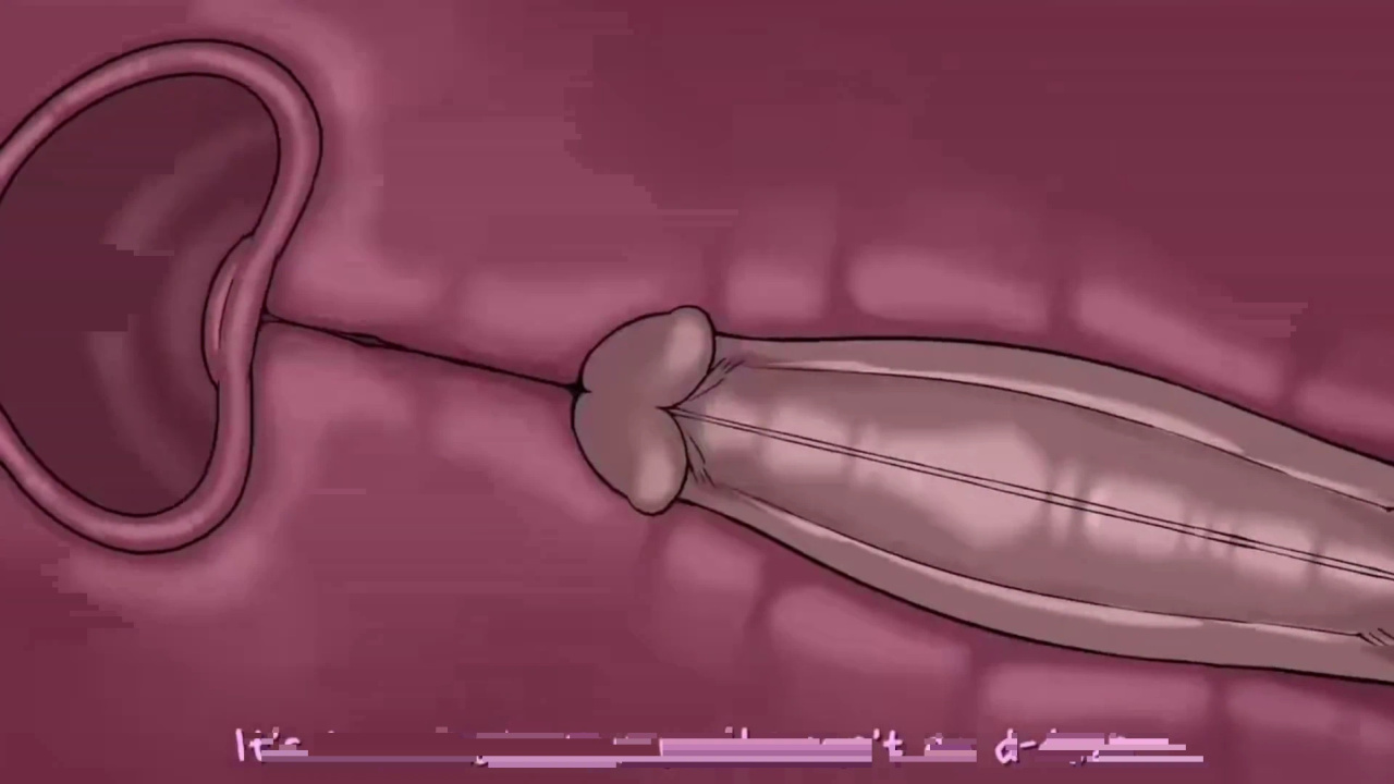[TheNewPassion] A Night Alone (Deltarune) (Animated - WIPS) (Ongoing)