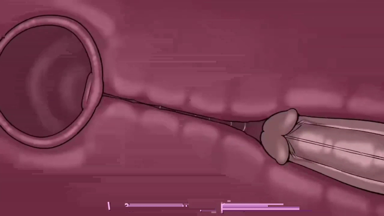 [TheNewPassion] A Night Alone (Deltarune) (Animated - WIPS) (Ongoing)