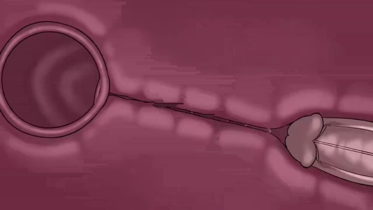 [TheNewPassion] A Night Alone (Deltarune) (Animated - WIPS) (Ongoing)