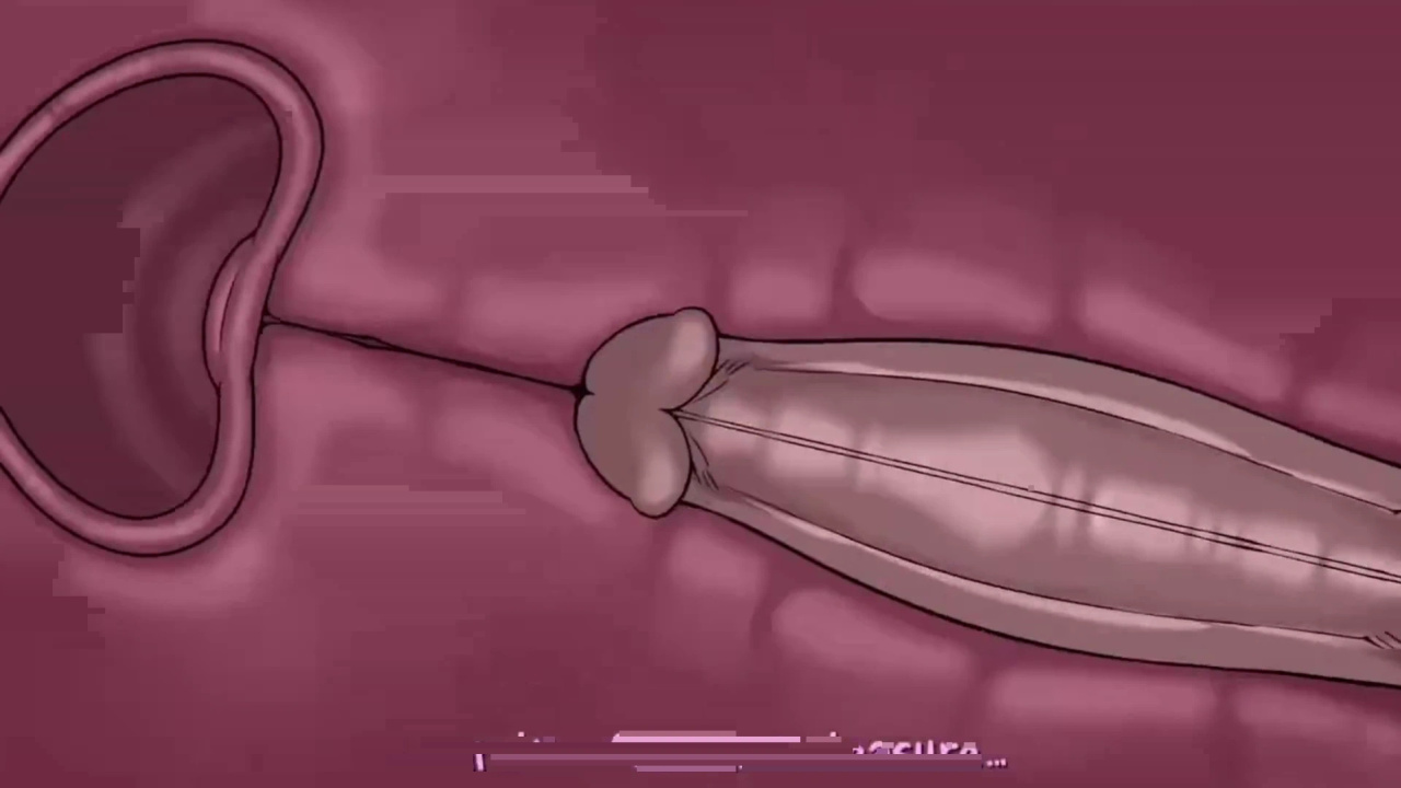 [TheNewPassion] A Night Alone (Deltarune) (Animated - WIPS) (Ongoing)