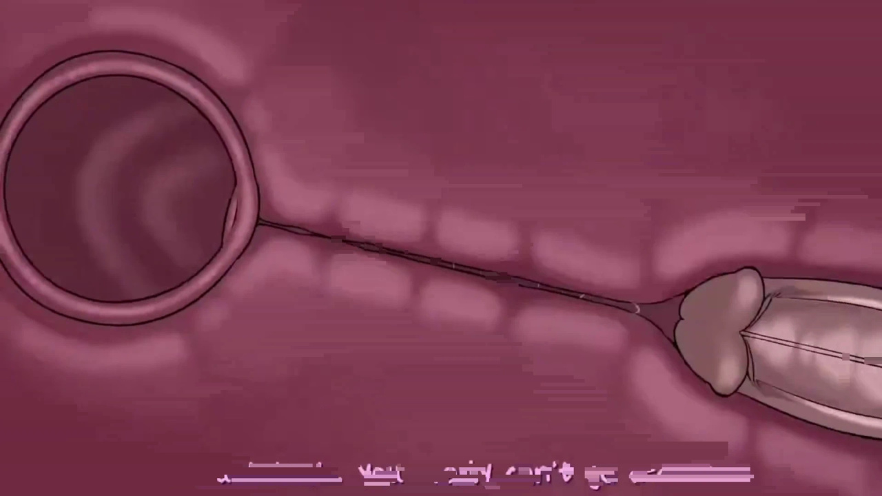 [TheNewPassion] A Night Alone (Deltarune) (Animated - WIPS) (Ongoing)