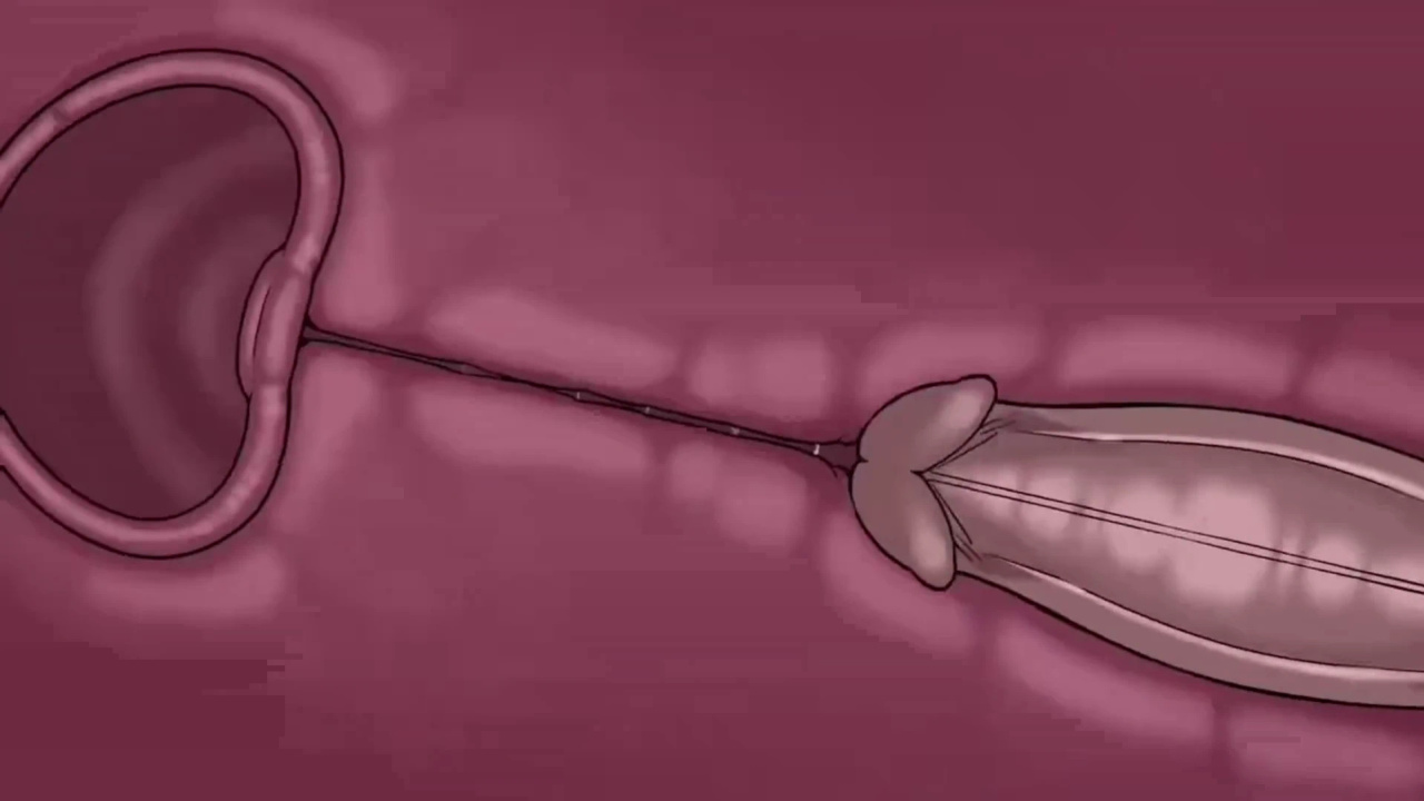 [TheNewPassion] A Night Alone (Deltarune) (Animated - WIPS) (Ongoing)