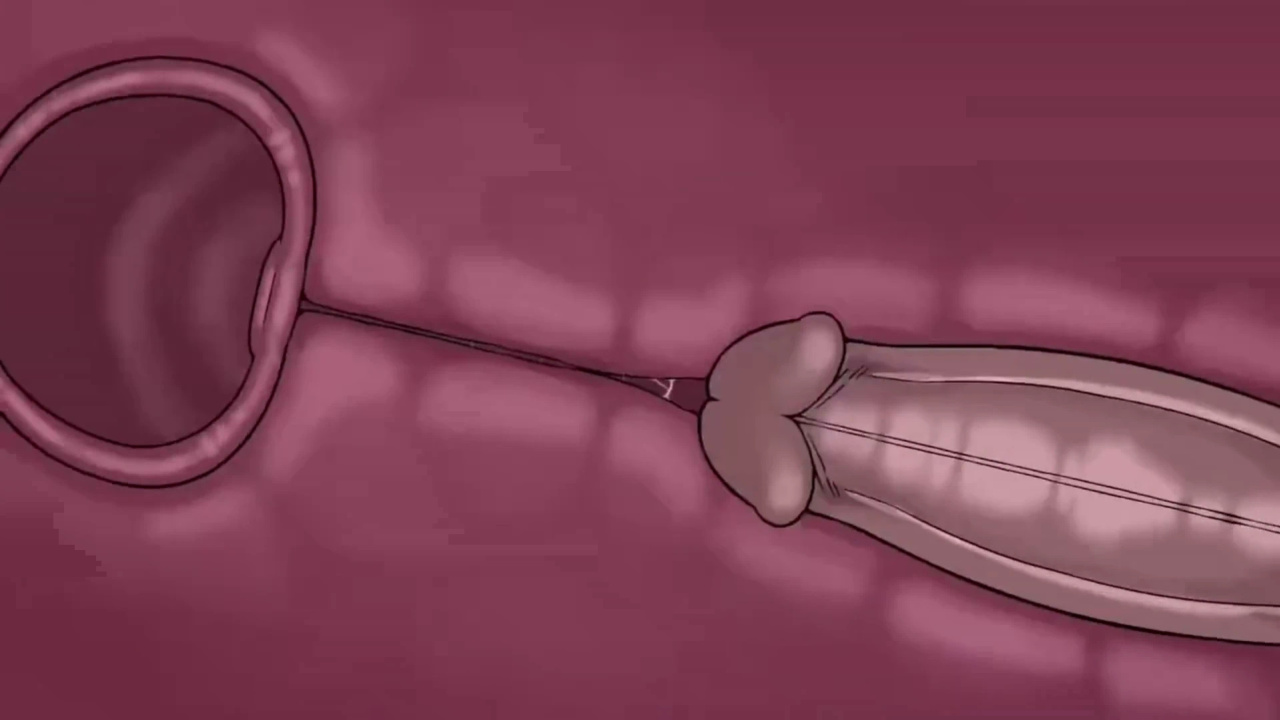 [TheNewPassion] A Night Alone (Deltarune) (Animated - WIPS) (Ongoing)