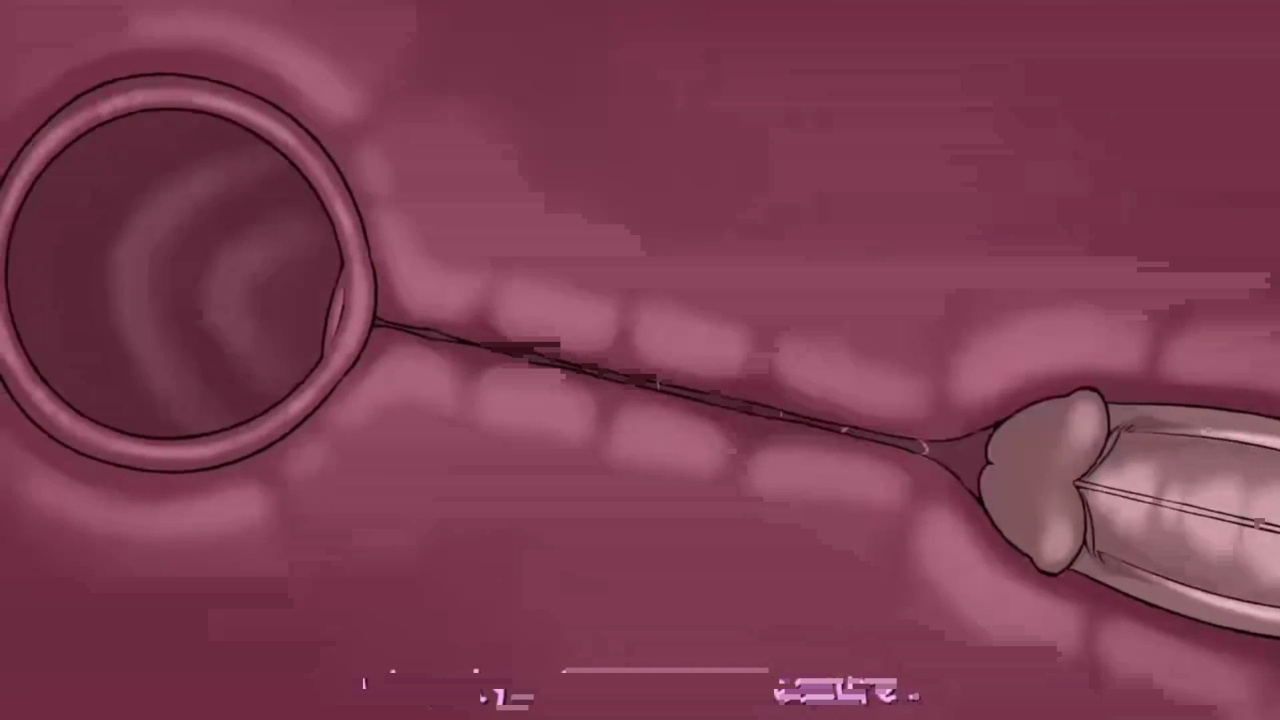 [TheNewPassion] A Night Alone (Deltarune) (Animated - WIPS) (Ongoing)