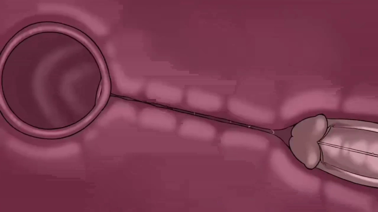 [TheNewPassion] A Night Alone (Deltarune) (Animated - WIPS) (Ongoing)