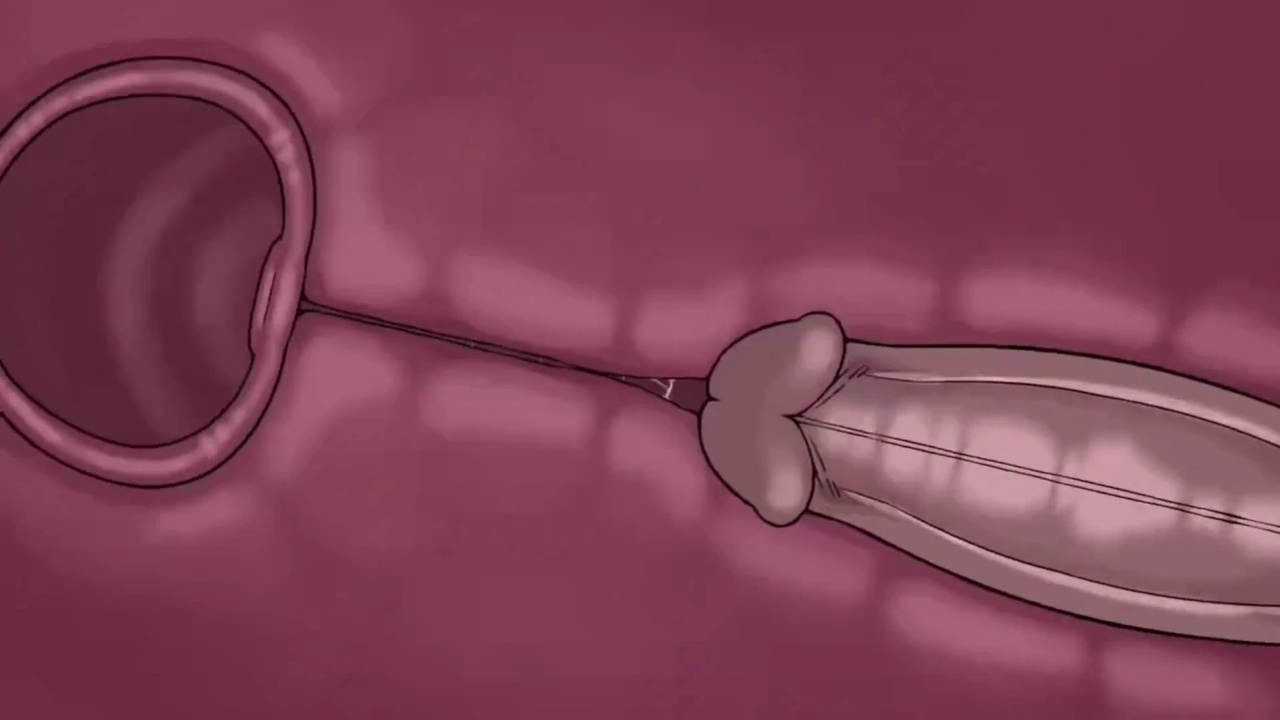 [TheNewPassion] A Night Alone (Deltarune) (Animated - WIPS) (Ongoing)