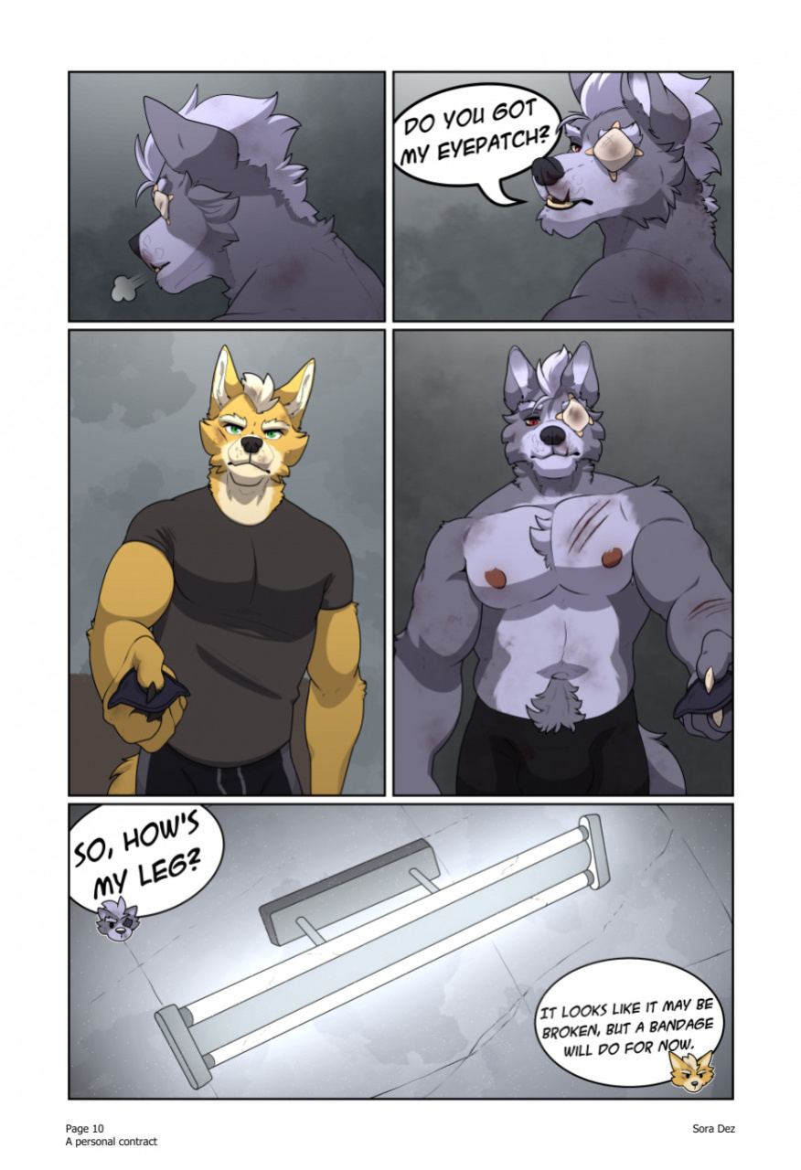 [Sora Dez WolFox] A Personal Contract (Ongoing)