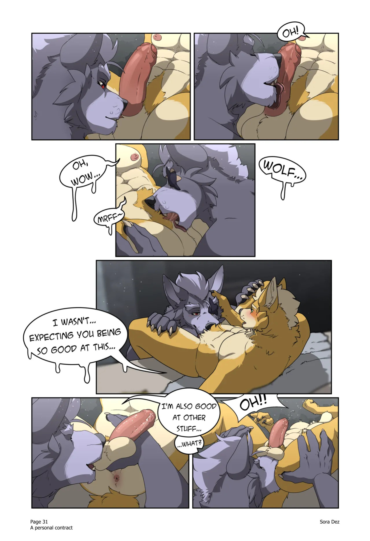 [Sora Dez WolFox] A Personal Contract (Ongoing)