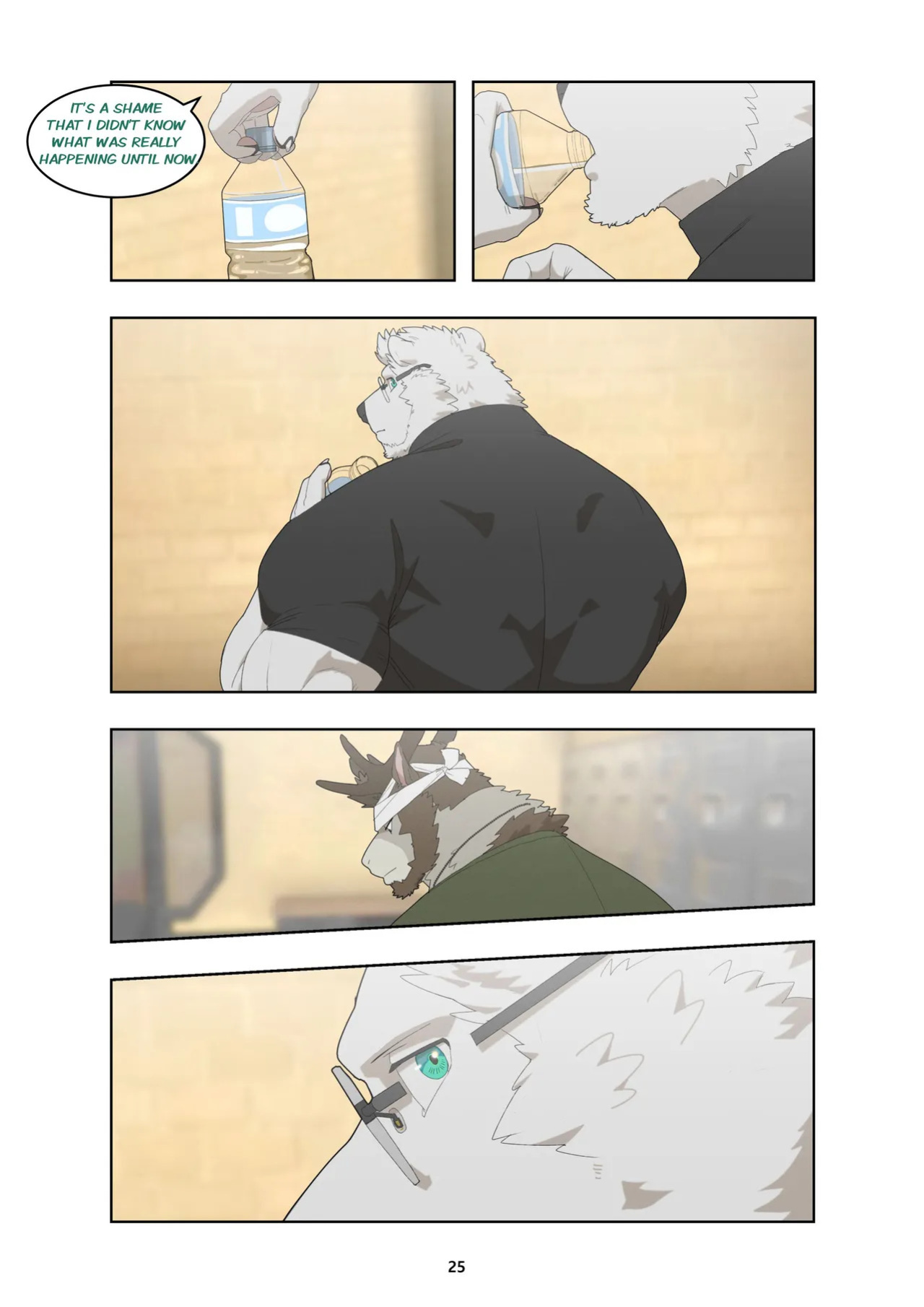 [Raccoon21] December, Twilight - SERIES (ENG)