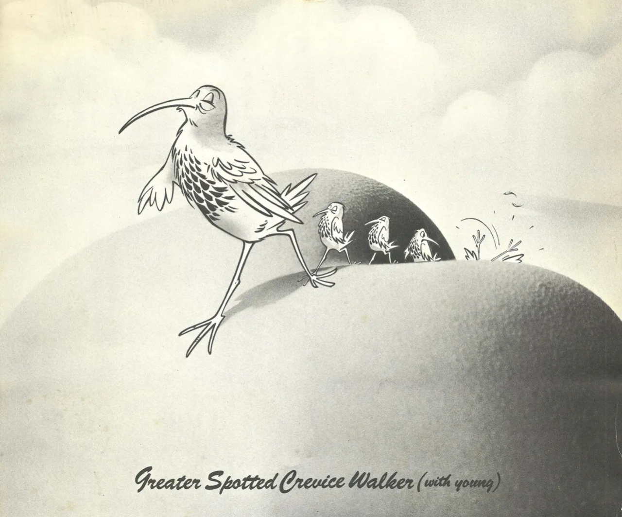 The Complete Guide to Birdwatching