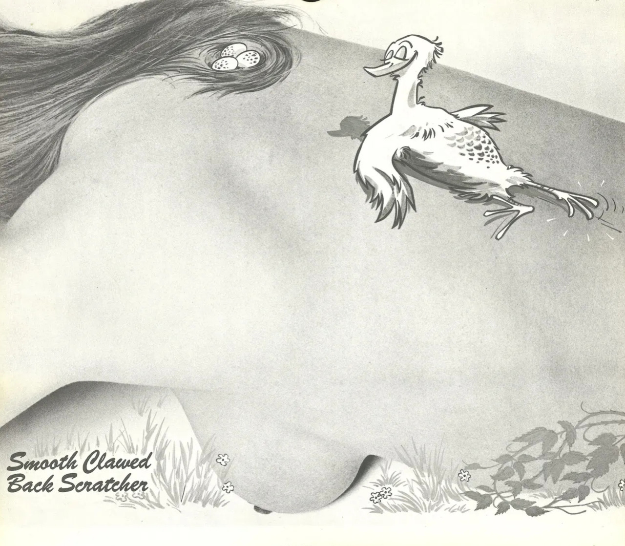 The Complete Guide to Birdwatching
