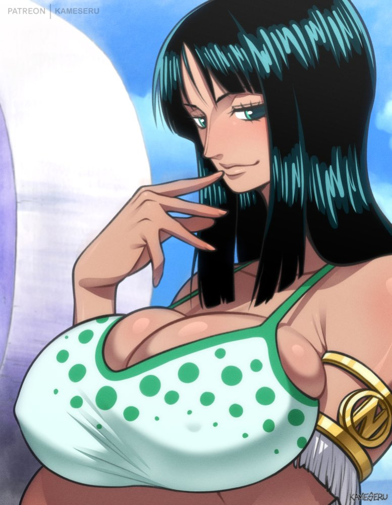 [Kameseru] One Piece Collection