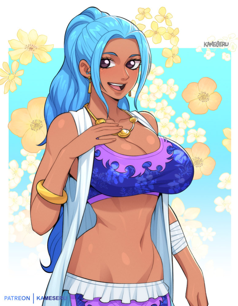 [Kameseru] One Piece Collection