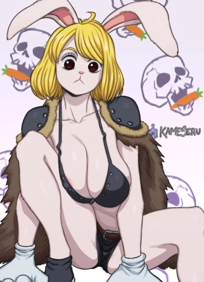 [Kameseru] One Piece Collection