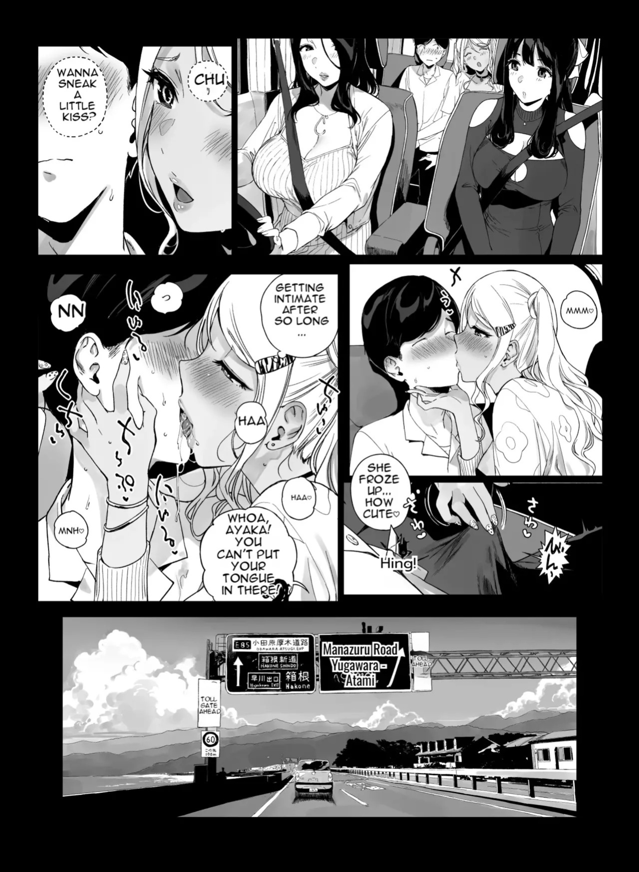 Gaming Harem 5 (decensored)