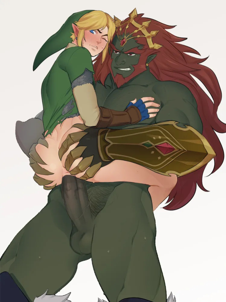 [Kukumomo] The Legend of Zelda collection