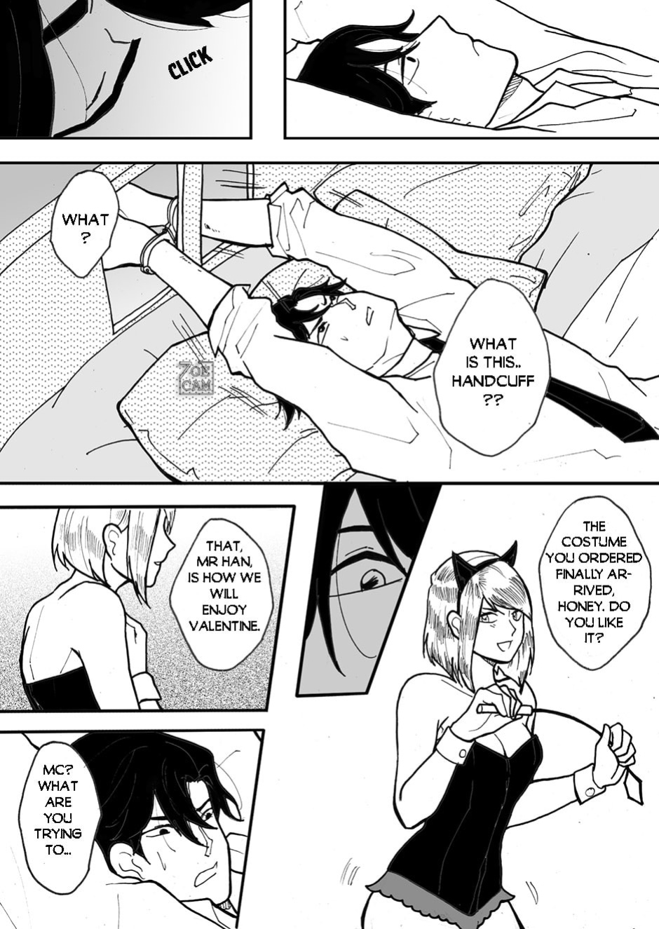 [Zoe Cam] Mr Han's Valentine[Mystic messenger ]