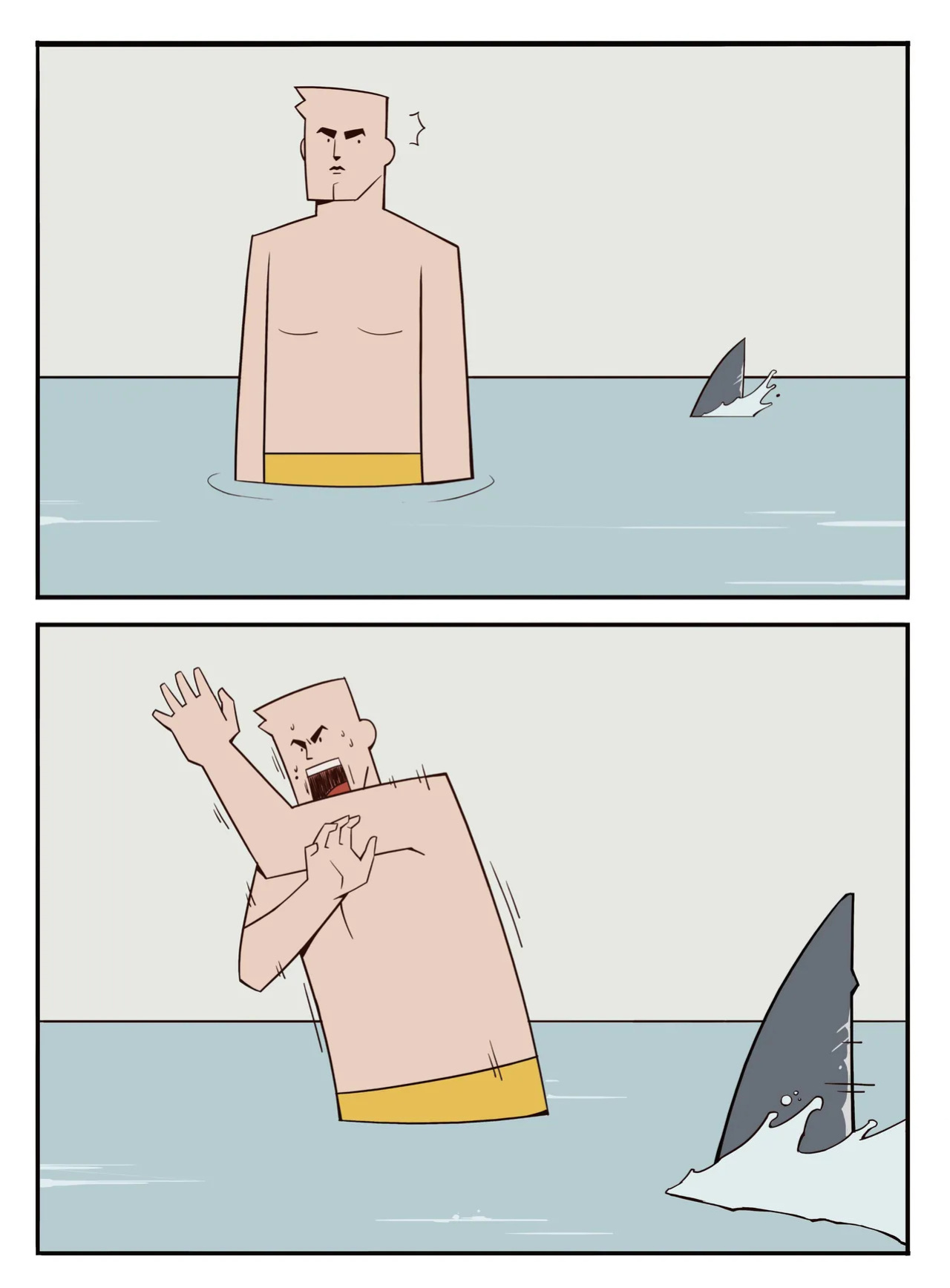 [Bonny] Shark Ladies