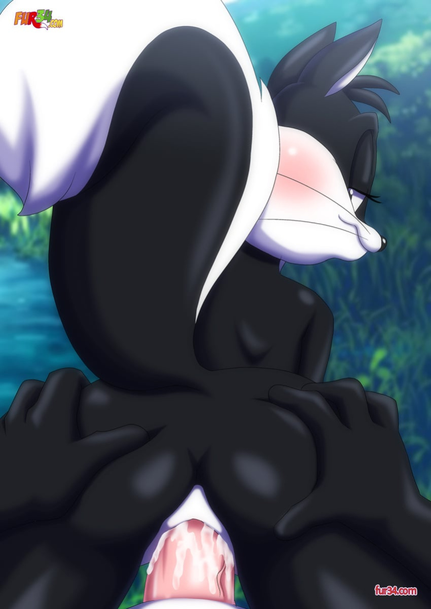 (this will END Forever I know it) my gallery-looney tunes