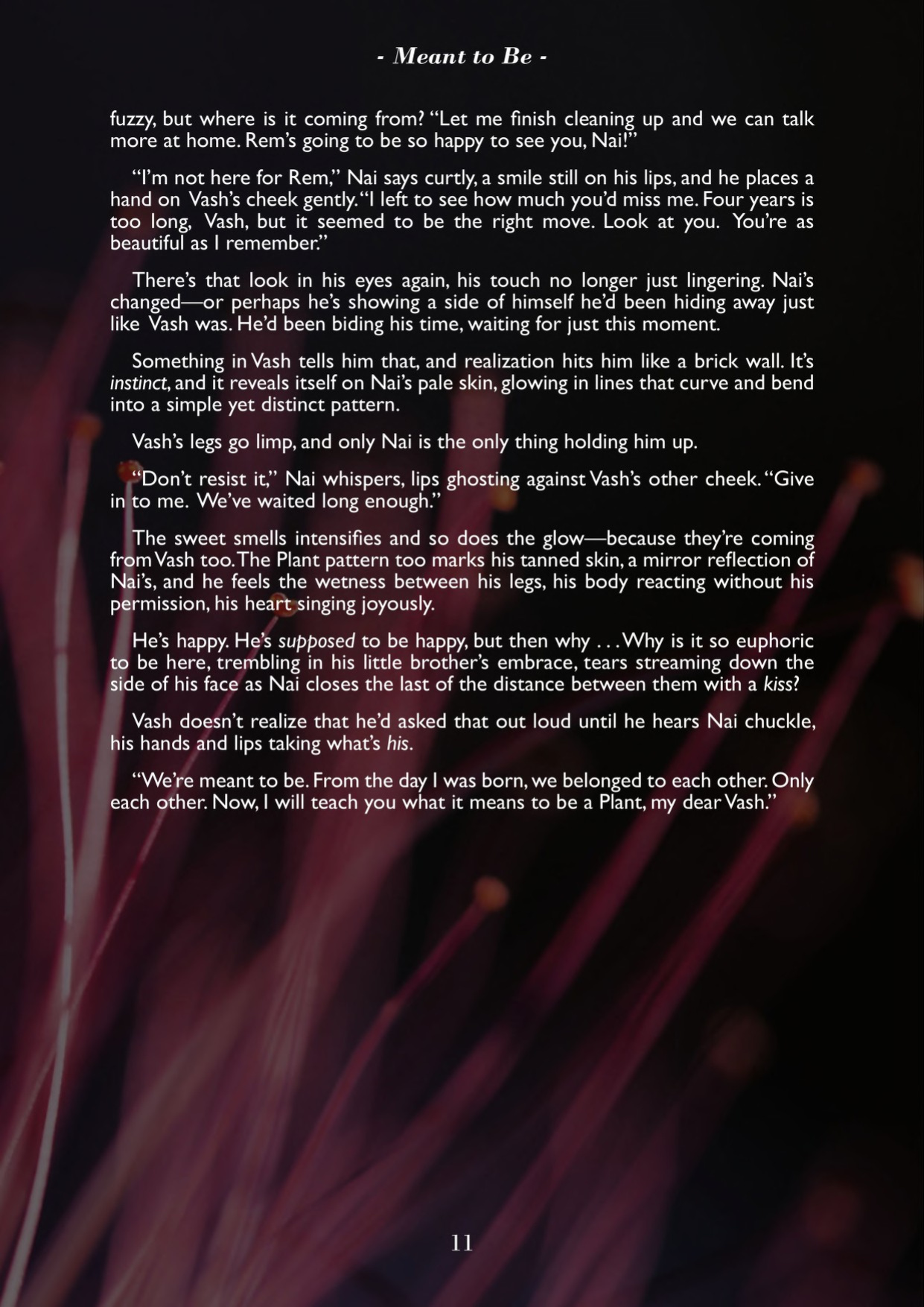 A Song of Brothers: A Knives x Vash Zine (Pages)
