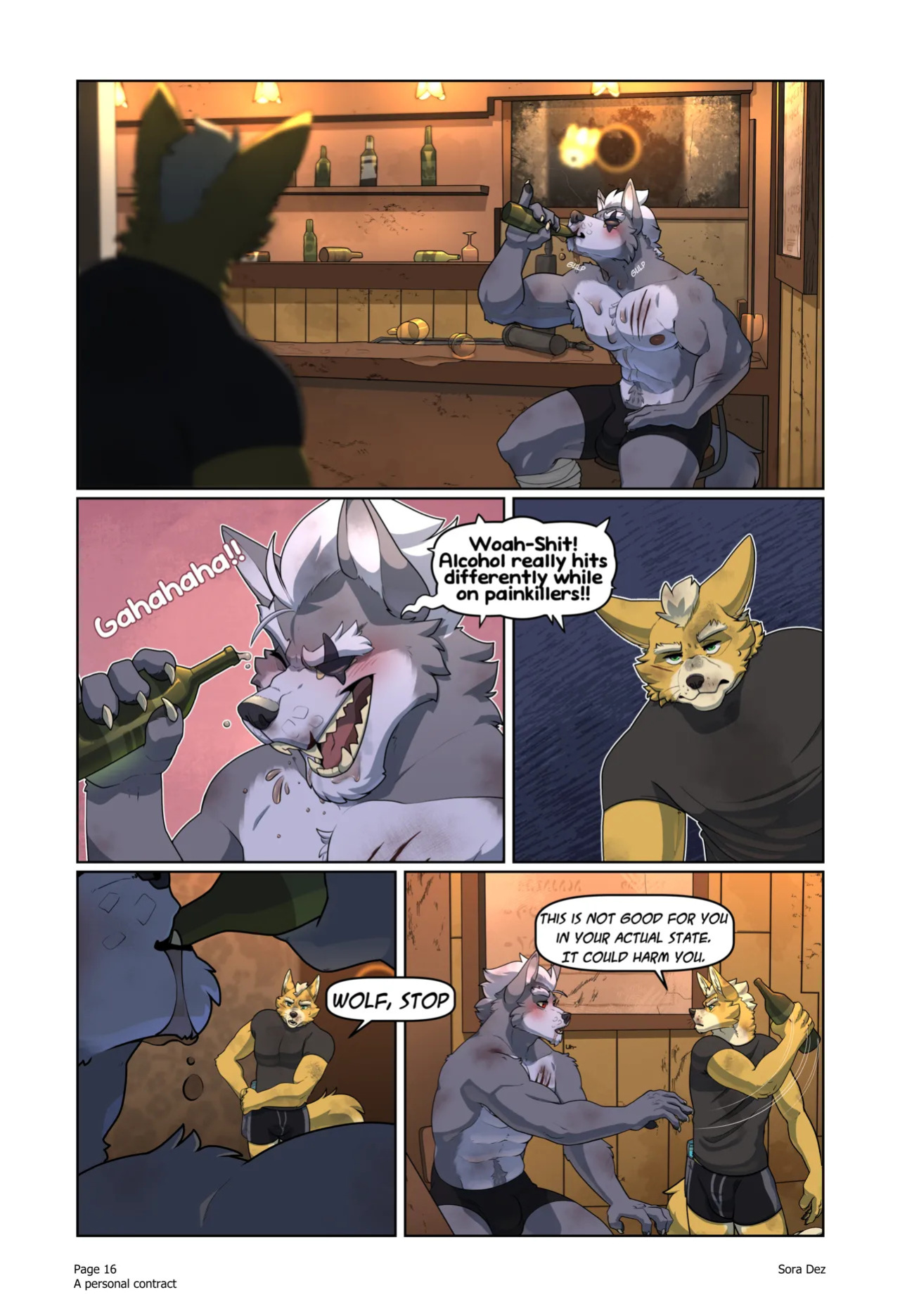 [Sora Dez WolFox] A Personal Contract