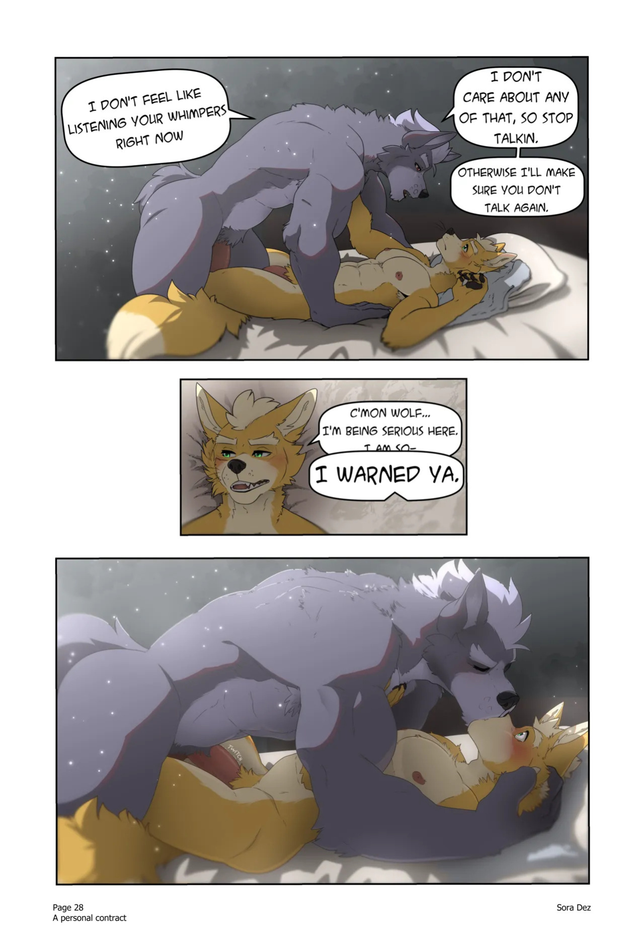 [Sora Dez WolFox] A Personal Contract