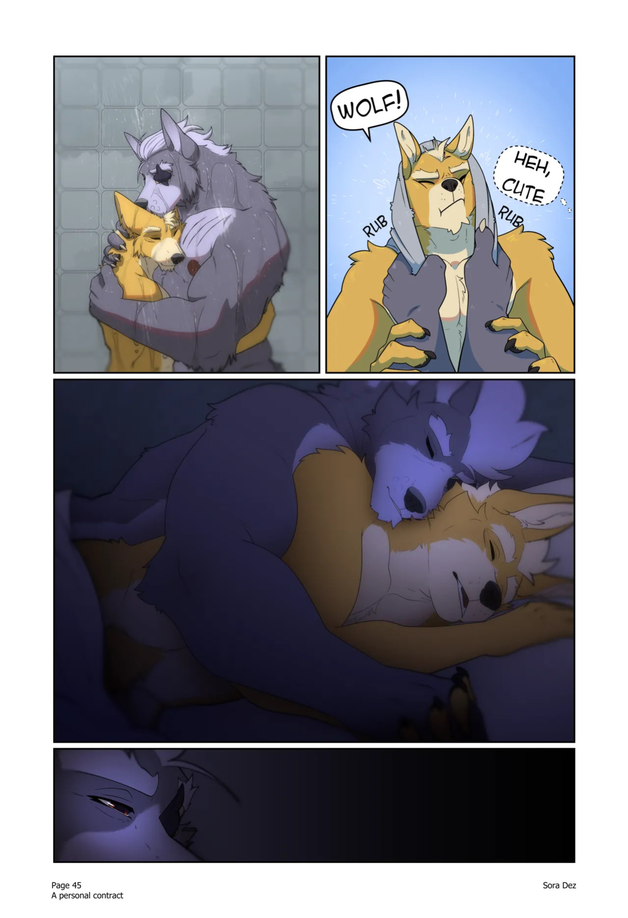 [Sora Dez WolFox] A Personal Contract