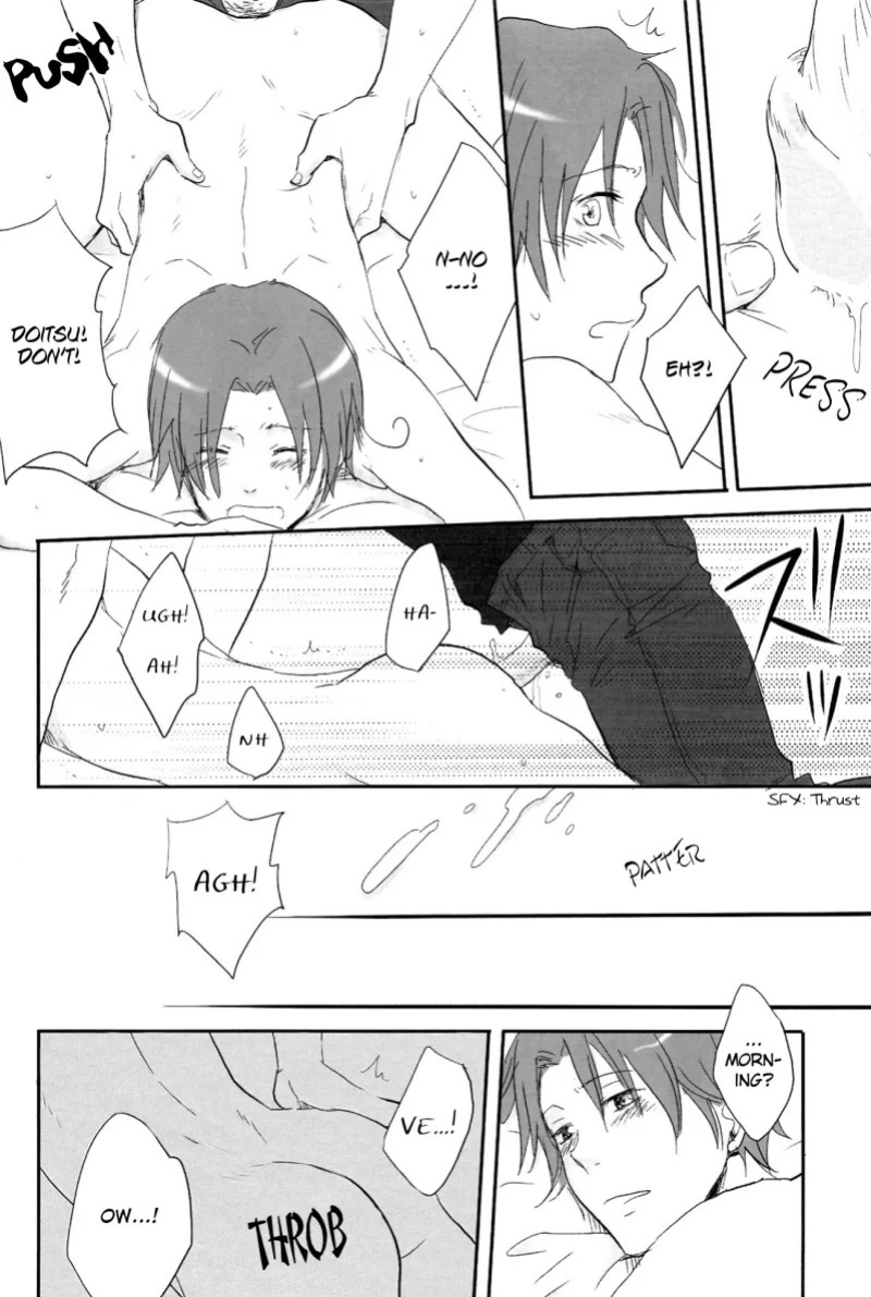[Nikushoku Shounen (Kozakura Shou)] Kenka no Ato de (Axis Powers Hetalia) [English]