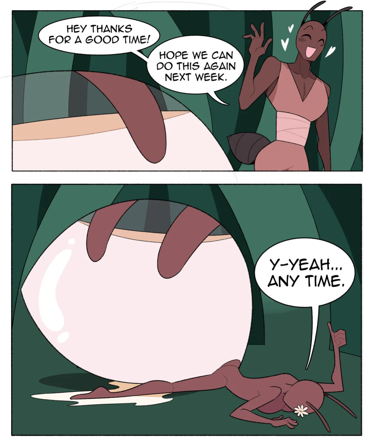 [Idolomantises] Coco the Honeypot Ant