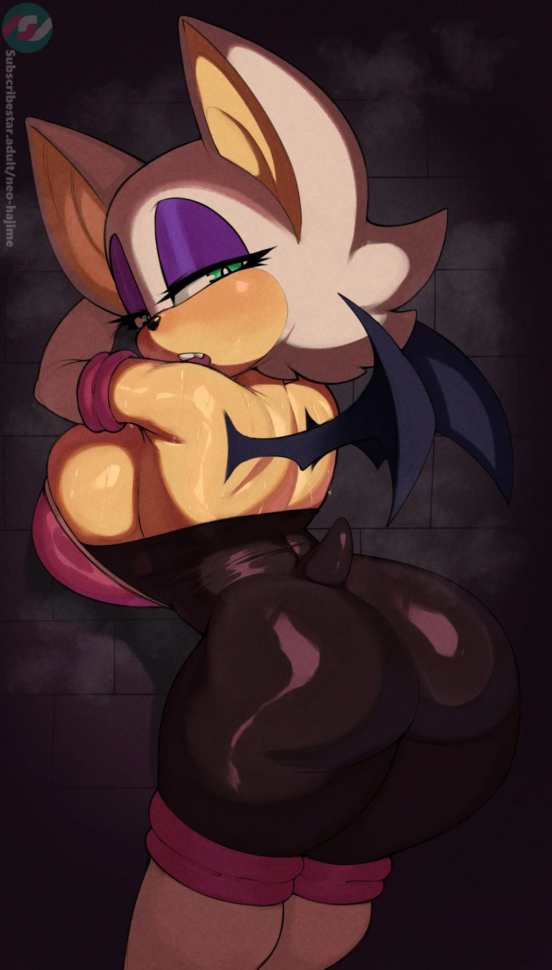 [Neo Hajime] Rouge the Bat (Sonic the Hedgehog)