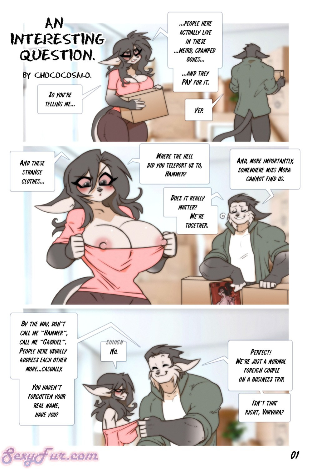[Chococosalo] An Interesting Question