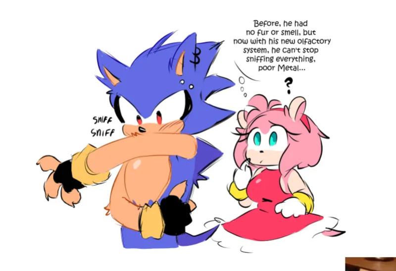 [QuaverDraws (QuaverNSFW)] Metamy (Metal Sonic x Amy Rose)