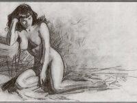 [Jim Silke] Bettie Page: Spicy Adventure