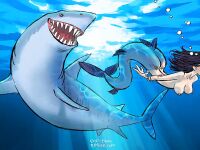 [Adler] Boli Blog