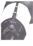 [Tomi Ungerer] Erotoscope [english][german][french] [Regdul]