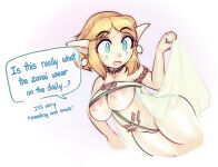 For The Future of Hyrule (raikissu)