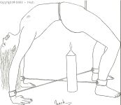 DRAWS