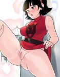 [Puffphox] High Risk Cruise (Dragon Ball Super)