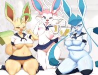Eeveelutions Junior Group/Senior Group (in progress)