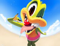 Vimhomeless Patreon 2022-June 2025